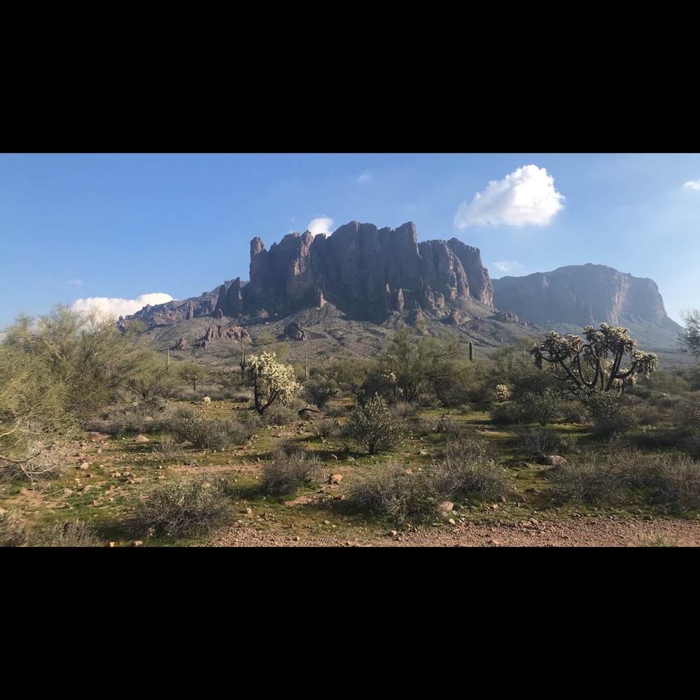 Meet your Posher, Kelsie